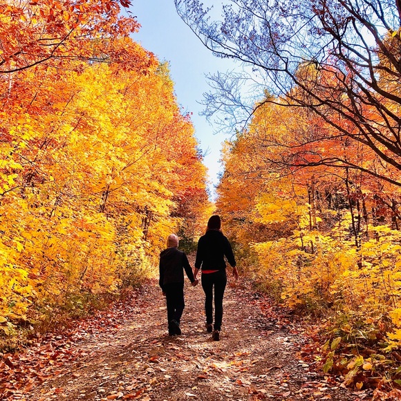 Meet your Posher, Bronwyn - Picture 1 of 1